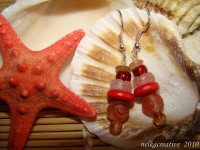 /album/fotogaleria/cerveny-koral1-jpg/